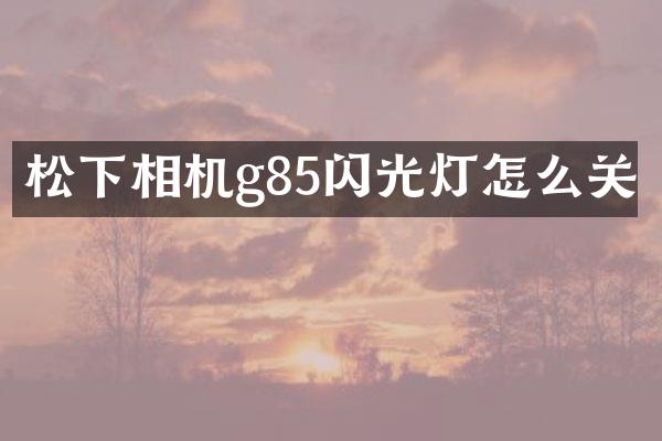 松下相机g85闪光灯怎么关