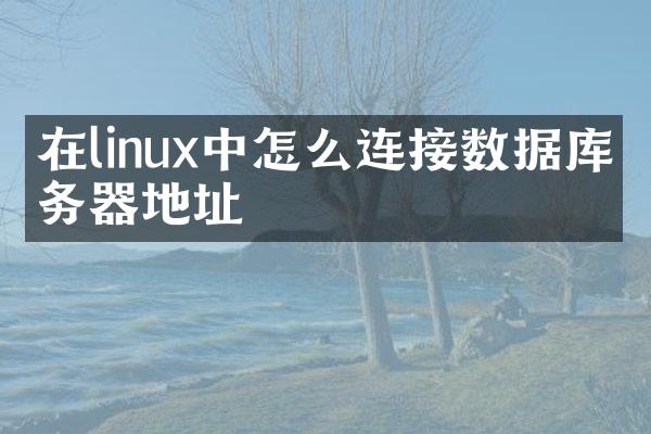 在linux中怎么连接数据库服务器地址