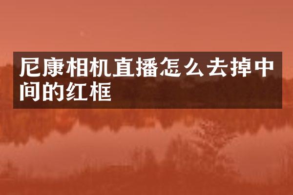 尼康相机直播怎么去掉中间的红框