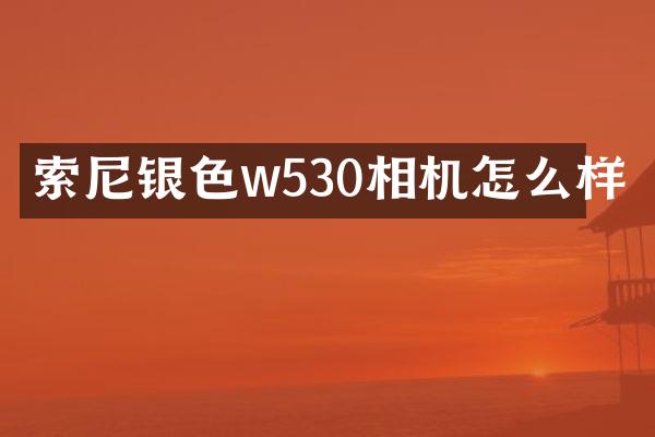索尼银色w530相机怎么样