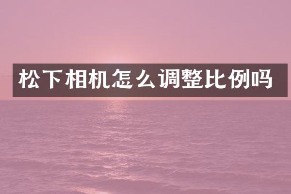 松下相机怎么调整比例吗