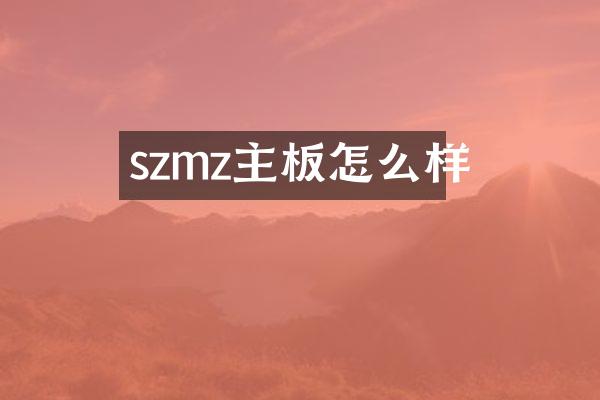 szmz主板怎么样