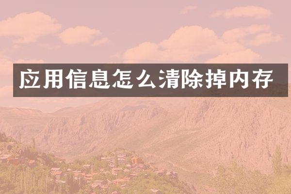 应用信息怎么清除掉内存