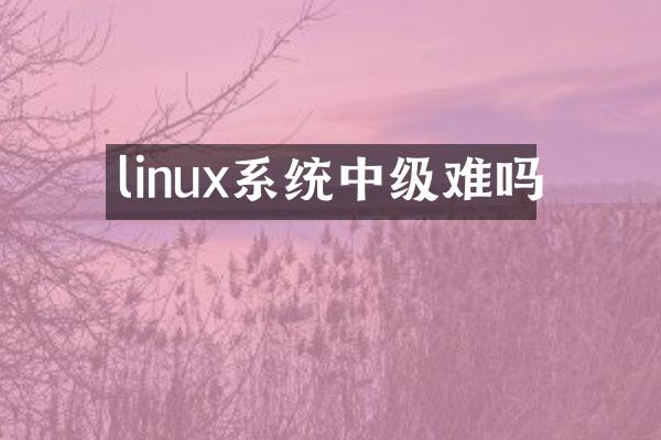 linux系统中级难吗