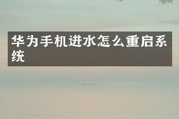 华为手机进水怎么重启系统