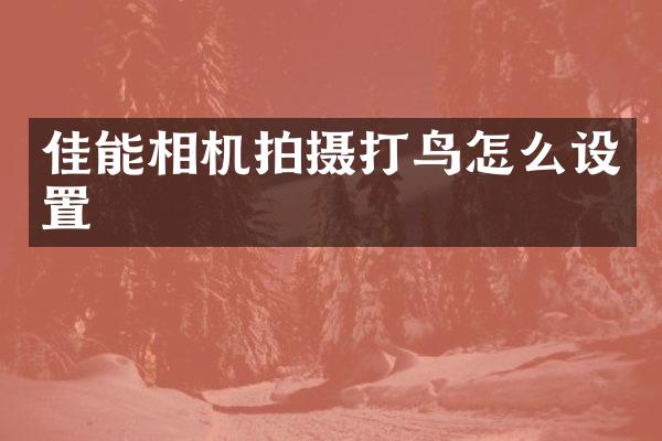 佳能相机拍摄打鸟怎么设置