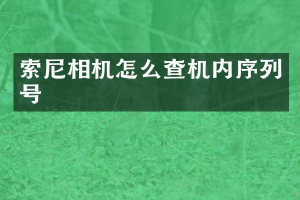 索尼相机怎么查机内序列号