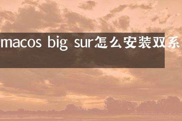 macos big sur怎么安装双系统