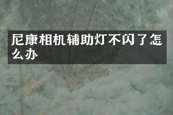 尼康相机辅助灯不闪了怎么办