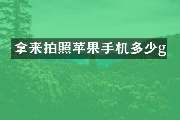 拿来拍照苹果手机多少g