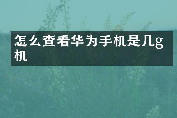 怎么查看华为手机是几g手机