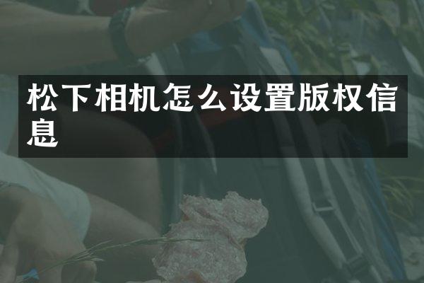 松下相机怎么设置版权信息