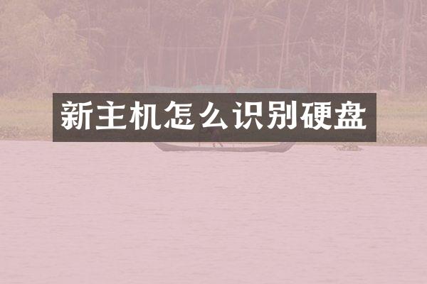 新主机怎么识别硬盘