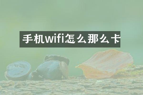 手机wifi怎么那么卡