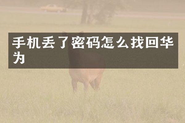 手机丢了密码怎么找回华为