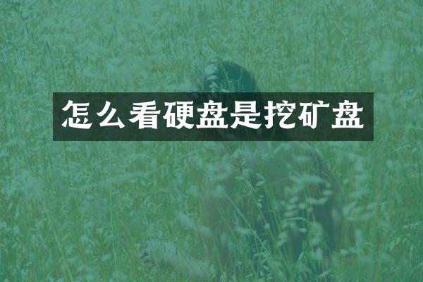 怎么看硬盘是挖矿盘
