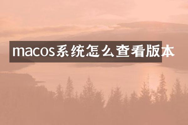 macos系统怎么查看版本