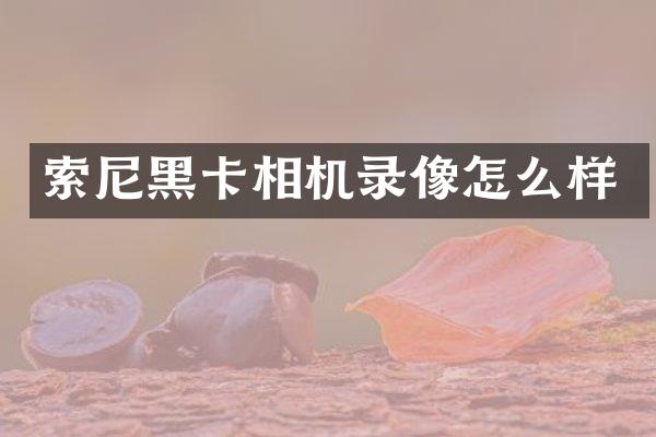 索尼黑卡相机录像怎么样
