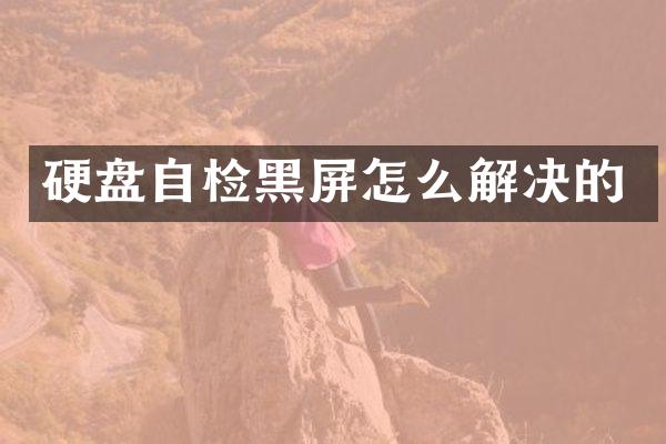 硬盘自检黑屏怎么解决的