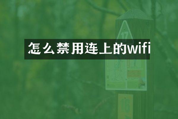 怎么禁用连上的wifi