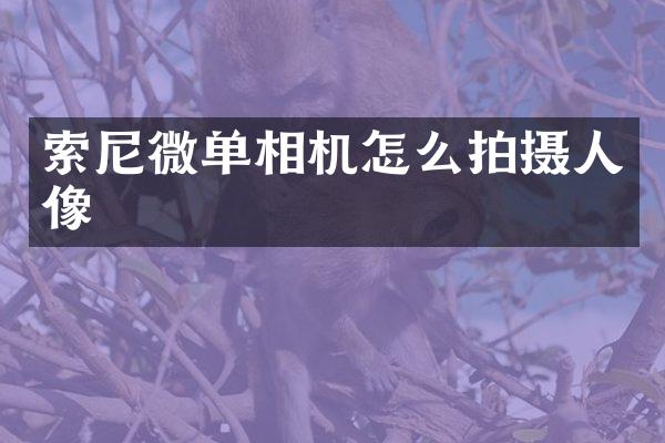 索尼微单相机怎么拍摄人像