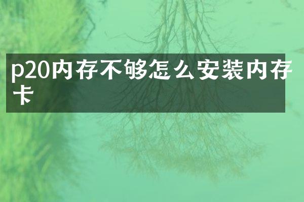 p20内存不够怎么安装内存卡