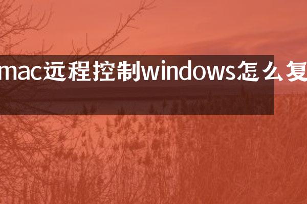 mac远程控制windows怎么复制