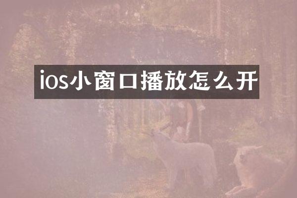 ios小窗口播放怎么开