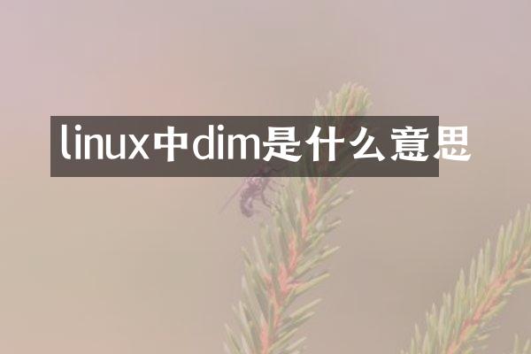 linux中dim是什么意思