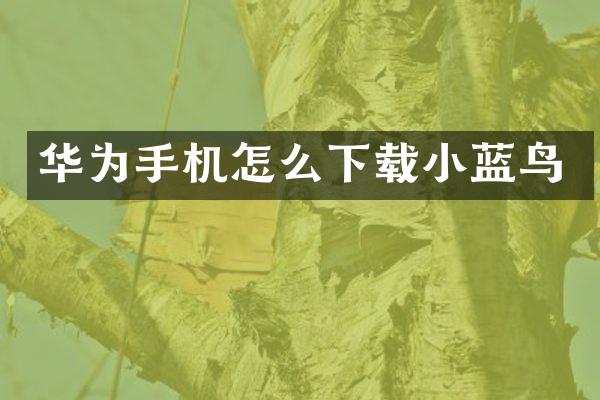 华为手机怎么下载小蓝鸟