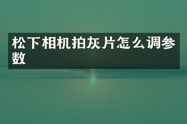 松下相机拍灰片怎么调参数