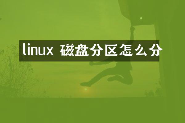 linux 磁盘分区怎么分
