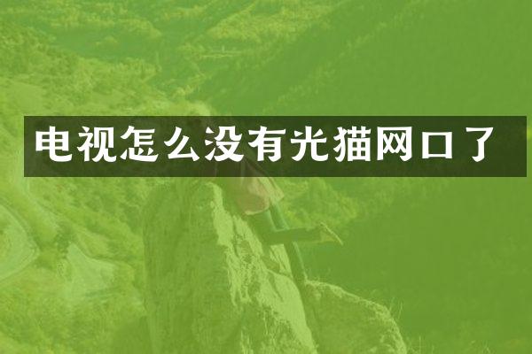电视怎么没有光猫网口了