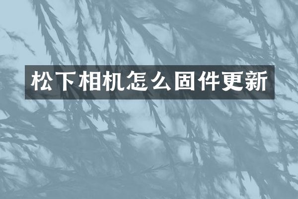 松下相机怎么固件更新