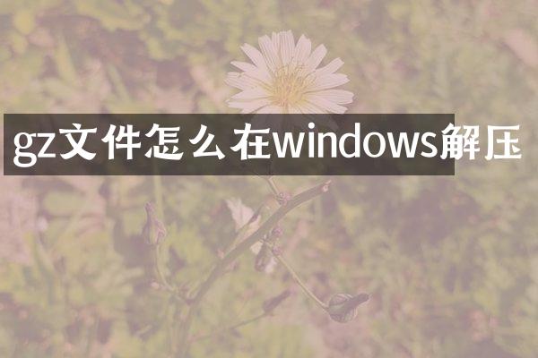 gz文件怎么在windows解压