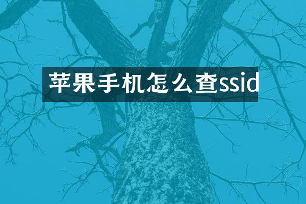 苹果手机怎么查ssid