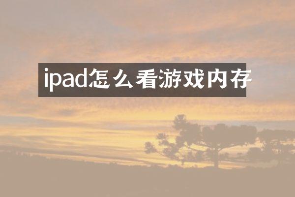 ipad怎么看游戏内存