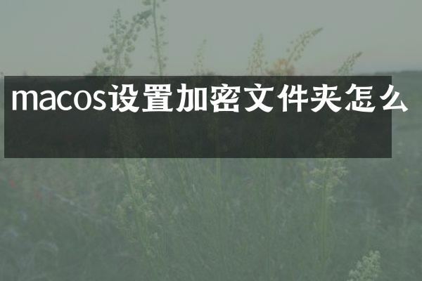 macos设置加密文件夹怎么看