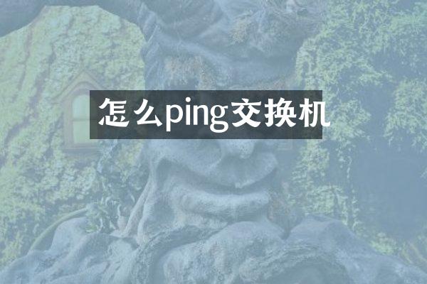 怎么ping交换机