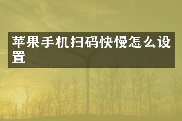 苹果手机扫码快慢怎么设置