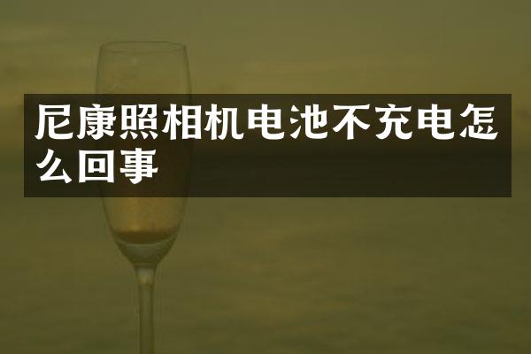 尼康照相机电池不充电怎么回事