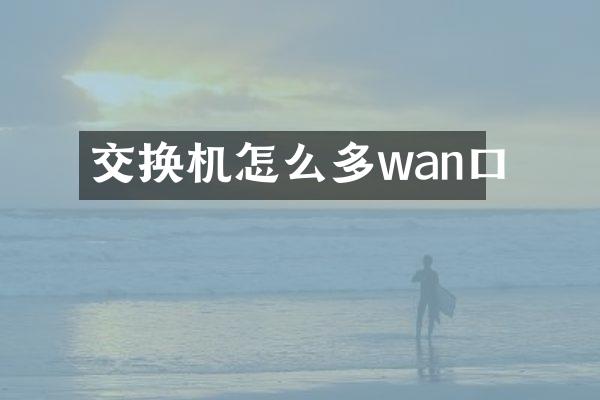 交换机怎么多wan口