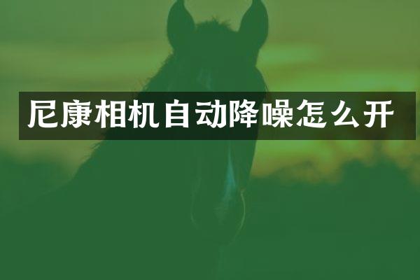 尼康相机自动降噪怎么开