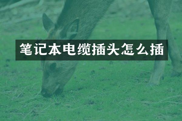笔记本电缆插头怎么插