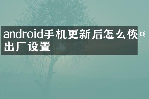 android手机更新后怎么恢复出厂设置