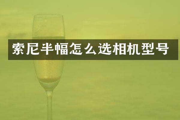 索尼半幅怎么选相机型号