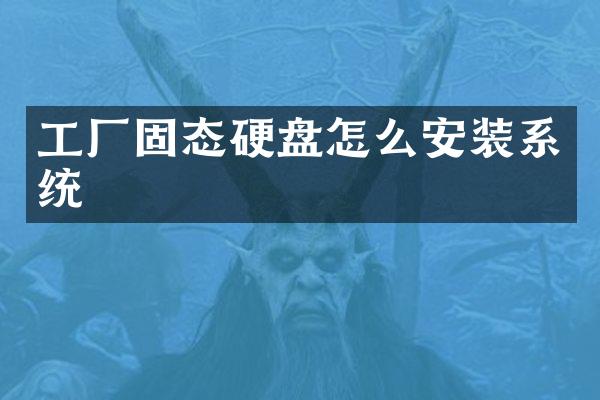 工厂固态硬盘怎么安装系统