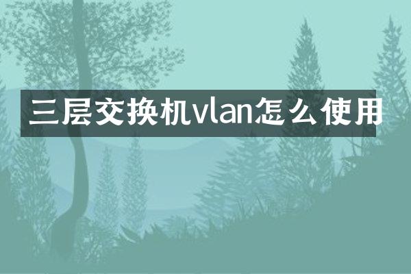三层交换机vlan怎么使用
