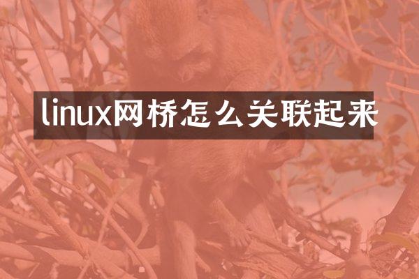 linux网桥怎么关联起来