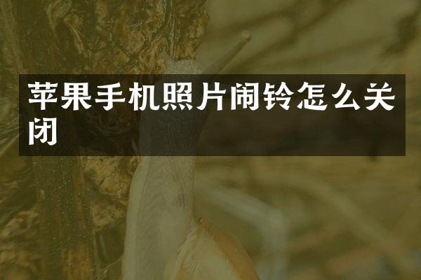 苹果手机照片闹铃怎么关闭